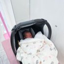 고려세탁 | 신생아 카시트 추천, 순성 우노 에어 세탁 및 설치 후기