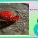 제11강 "Blind 만들고 Filters Panel 체험" [우리선생님] 이미지