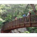 청십자약국 이미지