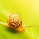 바른아이푸드