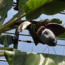 서부농업기술센터 이미지