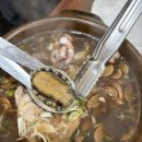 오박사네식당 | 둔산동해신탕 대전삼계탕 오박사전복해신탕 청사점
