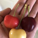 청구농장 이미지