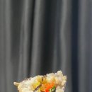 또또꼬마김밥신불당호반점 이미지