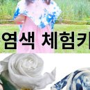 주식회사 더물 이미지