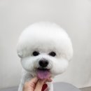 멍데이즈 이미지