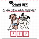 이거 뭐야? 그림 넌센스 이미지