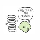 썸머뷰펜션 이미지