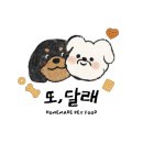 법이네 야채가게 | 강아지수제간식 가게 추천, 저알러지간식 또달래 배송 후기