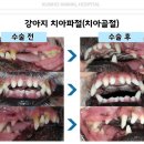 금호동물병원 이미지