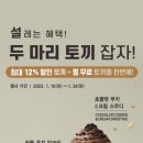 공차강릉안목항점 이미지