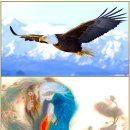 06)15. 莊子장자 內篇내편 第06篇 大宗師(대종사)(第15章)/칩 전쟁,무장해제,전후 80년,수녀 선종,수출통제,北인권,경주 APE 이미지