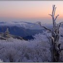 방장목장 이미지