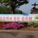 당포초등학교 이미지