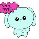 한국타이어 진장 이미지