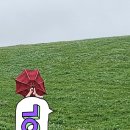 대구여인숙 | 재난문자와 함께하는 제주도 여행