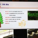 이수근의가평잣
