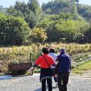 해마음 | 오손도손노인복지센터에서 오셨어요