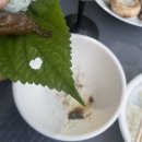 산토리민박 이미지