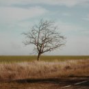 태양카서비스 이미지