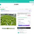 광채농장 이미지