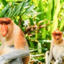 호텔자유1 이미지