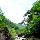 새밭민박 | [가족캠핑] 충북 단양 새밭계곡 민박 캠핑장 2박3일.