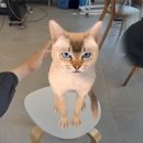 아이두게임 이미지