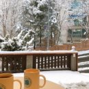 블루버드 이미지