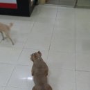 우소농장 이미지