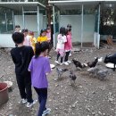 연일 형산 초등학교 이미지