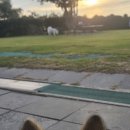 독앤트리 이미지