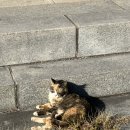 영화황토민박 이미지