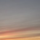 정상체육관 이미지