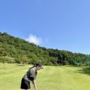 대신 스포랜드 이미지