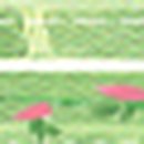월림[서] Daum카페