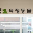 덕정동물의료센터 이미지