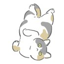 비전갈비 이미지