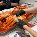 농수산 | 홍게 택배 맛집 효자농수산 후기 수율 좋았던 홍게 3KG 실속형 주문