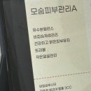 모숨피부두피센터