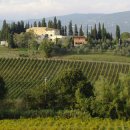 파토리아 이미지