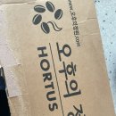 [오후의정원 커피] 맥문동커피 티백커피와 드립백커피 선물세트 후기🤎