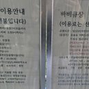 하얀날개펜션