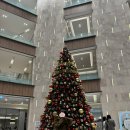 사현 | 내가 예비신부라구요? 청주 메리다웨딩컨벤션 계약후기