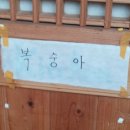황토한옥관송 | [2015동계] #1. 전주한옥마을 게스트하우스 펜션 '관송' 이용 후기!!