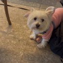 방배천로 132 이미지