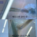 울산 두피관리 앙포레 헤드스파 울산점 스파관리후기