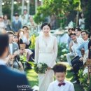 바이연 이미지