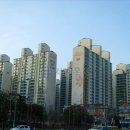 수원-0822 이미지