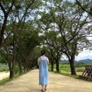 봉정사 종합안내소 이미지